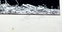 2 days Rare Find ! Signed Ansel Adam Original Photograph, gift for art lovers.