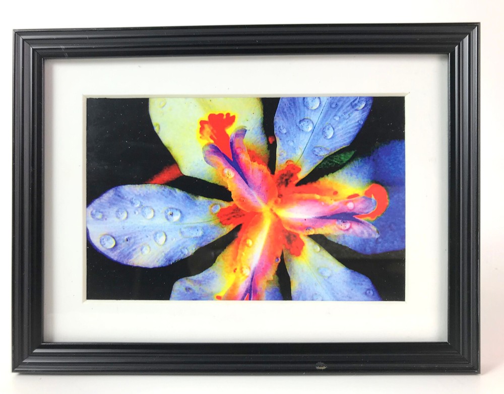 INSIDE THE IRIS, 4×6 » MATTED AND FRAMED PHOTO PRINT, READY TO HANG, GREAT GIFT!