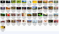 100 Amazing Mixed Desktop Computer Backgrounds Wallpaper Bundle Pack 342