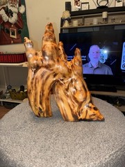 Beautiful Natural Cypress Knee Sculpture