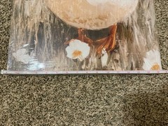 Duck Farmhouse Animal Wall Art Decor Canvas Decor 24×16 Inch Ready to Hang
