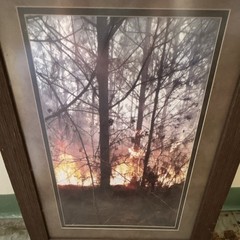 Lot of 3 Matted & Framed Color Wildfire Smoke Forest Photo Wall Art, Portrait