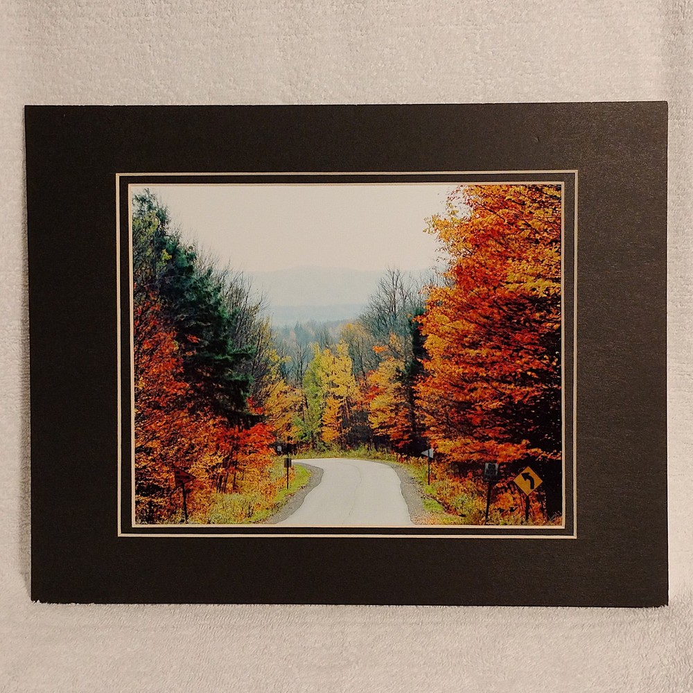 Wall Art Autumn Leaves Photo Print Upper Peninsula Michigan 11×14 Double Mat