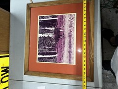 Signed THASE DANIEL photograph framed MOOSE nature beautiful