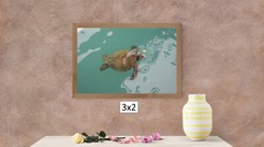 Giant Sea Turtle, Galapagos Islands, High Resolution Image, Many Formats, TV Art