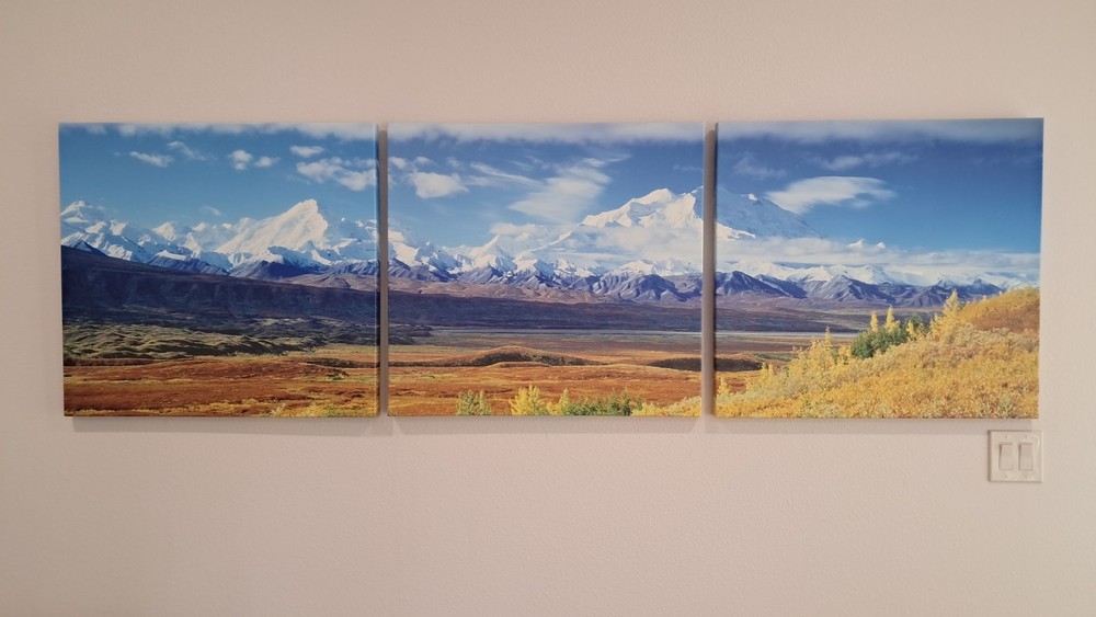 HUGE! 3x 30″x28″ Triptych print on canvas – Denali National Park.