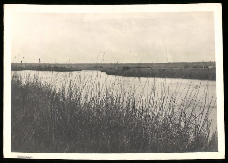 Photograph German South West Africa / Namibia, shoreline on the Okawango