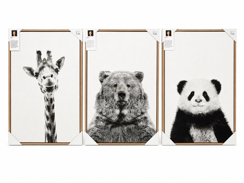 Simon Te Black And White Framed Animal Collection. Wood Frame, 3 Pack