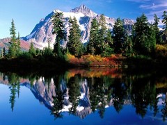 100 Amazing Mixed Desktop Computer Backgrounds Wallpaper Bundle Pack 336