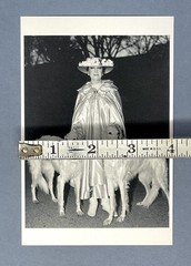 Dietmar Busse Art Photo Print Card – Lady Walking Her Dogs In Central Park, 1996