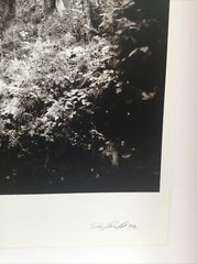 Dan Powell Original Silver Gelatin Photo (Ruins Savona, Italy) 19 x 16, 1999