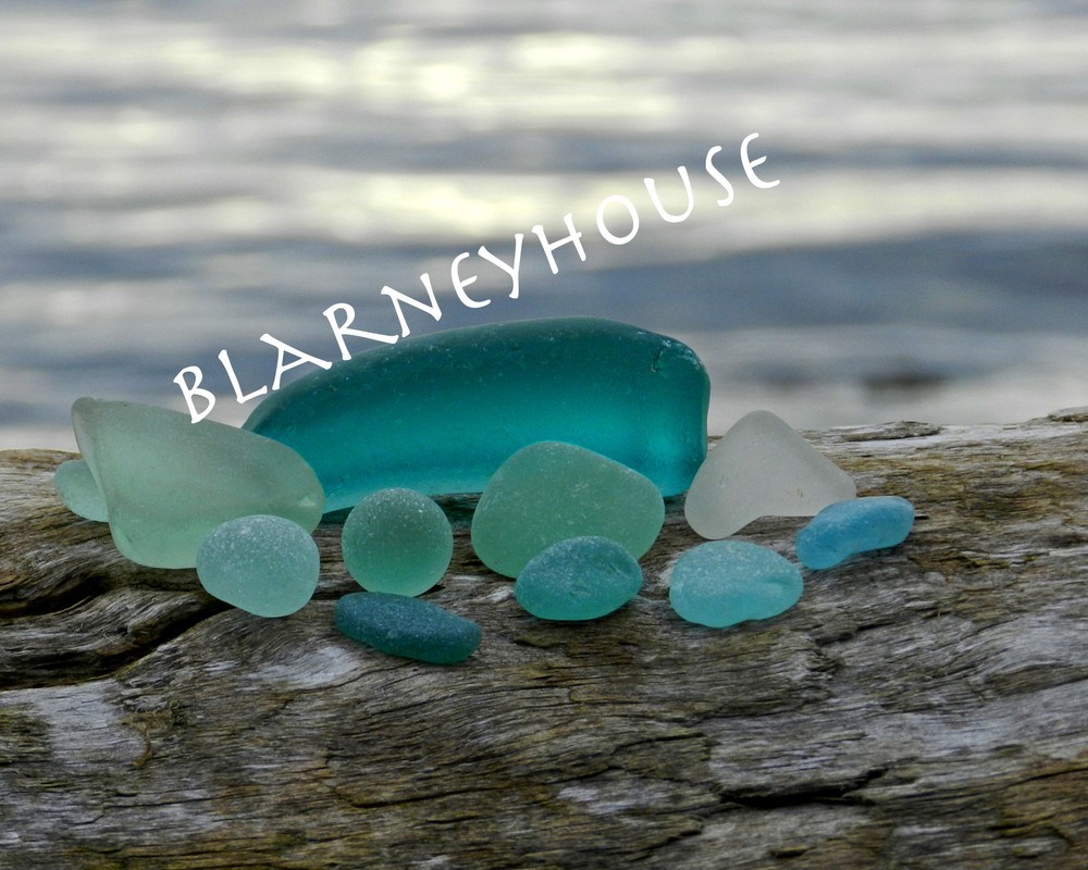 BEAUTIFUL PHOTO OF SEA GLASS ON DRIFTWOOD 2!