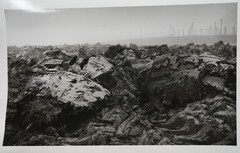 Argentique Photo Black and White Abstract 30x40cm Gelatin Silver Print, 1970