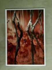 the flooded forest