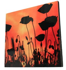 Original photograph of POPPIES Block Mounted and laminated 28 x 29 cm by Senka