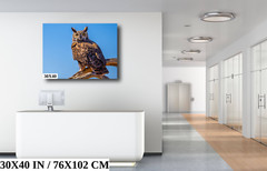 Twilight Guardian: Horned Owl On a Branch Wildlife Wall Art Print