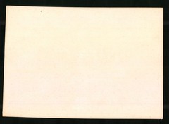 Photograph Klein Windhoek – Klein Windhoek / German South West Africa, vegetation a