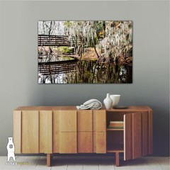 Phinizy Swamp – Fine Art Nature Photography by Bear8Photo