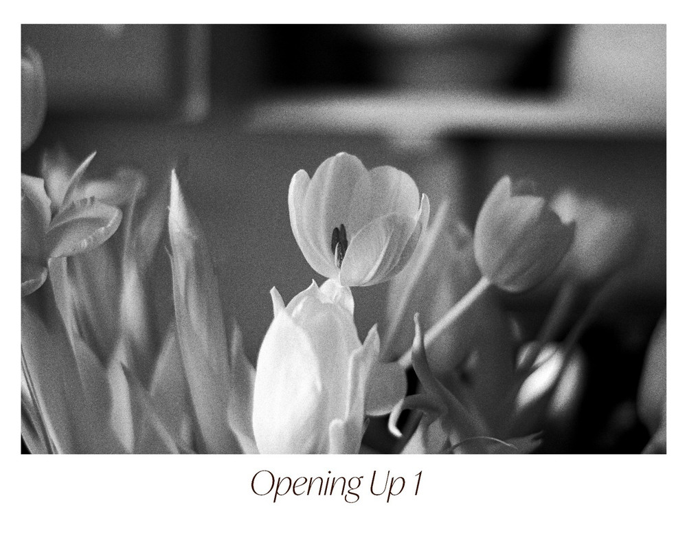 Black & White Floral Photograph Print Set – «Opening Up» 1 2 3