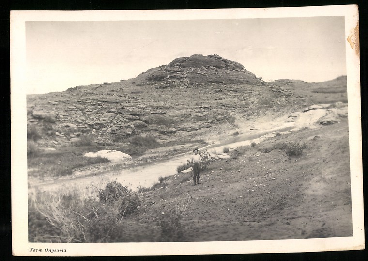Photograph German South West Africa / Namibia, Farm Ongeama with River Course