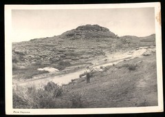 Photograph German South West Africa / Namibia, Farm Ongeama with River Course