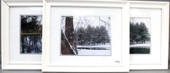 Mark Balcom Wolf (Massachusetts) “Winter Pines” Signed Photo Set of 3