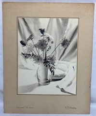 Vintage 1952 Original H.B Woodling «Ivory & Old Lace» Still Life Photograph