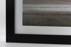 Framed Photograph Print With Glass “LONE TREE IV” by Dennis Frates 36×28”
