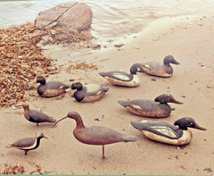Frank Klay Sepia Photograph Signed «Mason’s» Decoys, Shorebirds 29½» x 26″ LARGE