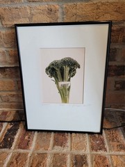 Michael Craven Fine Photography «Broccula» 1994 Signed Framed 70/300 Print 1998