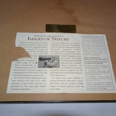 THOMAS MANGELSEN SIGNED 1994 SECRETS OF THE SAVANNAH LE 118/950 10X14 IMAGE FRM