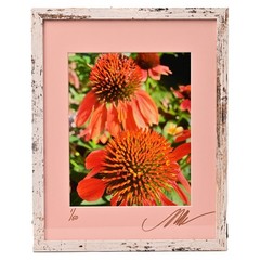 MICHAEL RAY Original Vintage Signed Long Island NY Floral Still Life Photograph