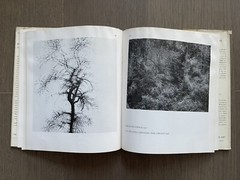 🎈Unique! SIGNED! Harry Callahan 1st Ed 1967 Sherman, Ray Metzker, Weber RARE