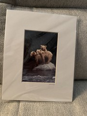 2 Jim Stamates Wildlife Photo Prints Moose Bears Nature