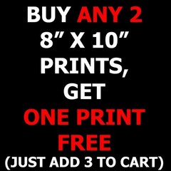 Houdini makes spirit hands 8″x10″ Photograph Print 8×10