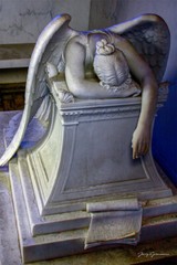 New Orleans ANGEL OF GRIEF 10X15 fine art photo in the French Quarter