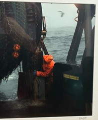 Original SAM MURFITT ‘ Maine Lobsterman Fisherman Pulling Nets’ BOAT Photograph