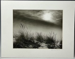 Vintage Photograph ‘On the Dunes’ Scarborough Matted Picture Beach Maritime