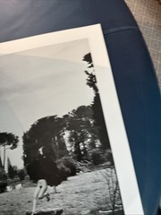 🎈Super RARE! Helmut Newton – Special Collection 24 Photo lithos, First Ed, 1979