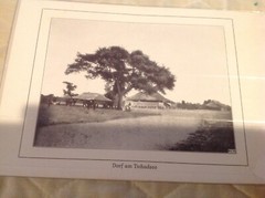 Vtg Antique Africa Photographs Signed J K Nature People Tribe Huts Swahili 7