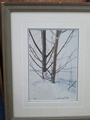 Thomas Mangelsen – Ermine in Trees (Signed 1999) 10×14 Framed