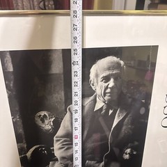 Sanford Roth Photograph Pablo Picasso Paris, 1954 Glass Framed Print Rare Artist