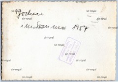 Blonde Boy Jochen 1957 Next to Two Feeding Dogs – 1950s – Photo 10x7cm