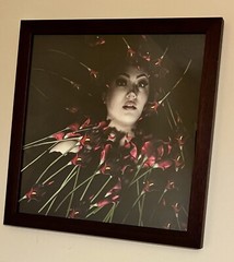 Fine Art Photography-Fear of Flowers-Anthophobia-Museum Quality Framed-16X16