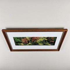 ART – Signed Gary Love Photograph 21.75×11.75 Framed Landscape Art – Maine Trees