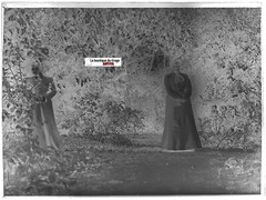 Garden, Nature, Lady in Dress, Glass Photo Plate, Black & White Negative 9×12 cm