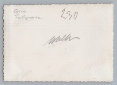 Dam Pressnitz Orpus Mezilesí u Přisečnice Bohemia Czech Republic III – 1930s