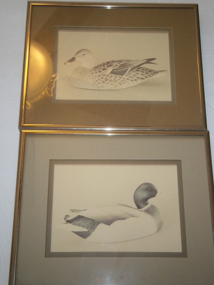 Lot of 2 William Plante Mallard Hen Drake Framed Photographs 1980 Nielsen Frame