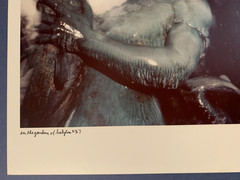 Rare 1979 Avery Danziger In The Gardens Of Babylon #27 Photography Art Print