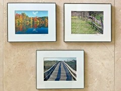 Grouping Trio Wall Art Fall Trees, Lake Ocean Boardwalk Photo Art Signed Framed